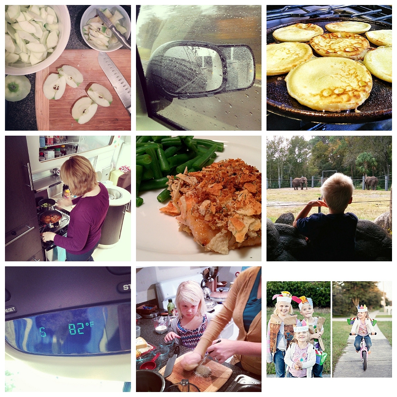 This week on Instagram Nov 23-29