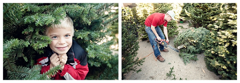Picking Out a Christmas Tree