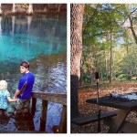 Jess Parks the Airstream - Manatee State Park, Florida