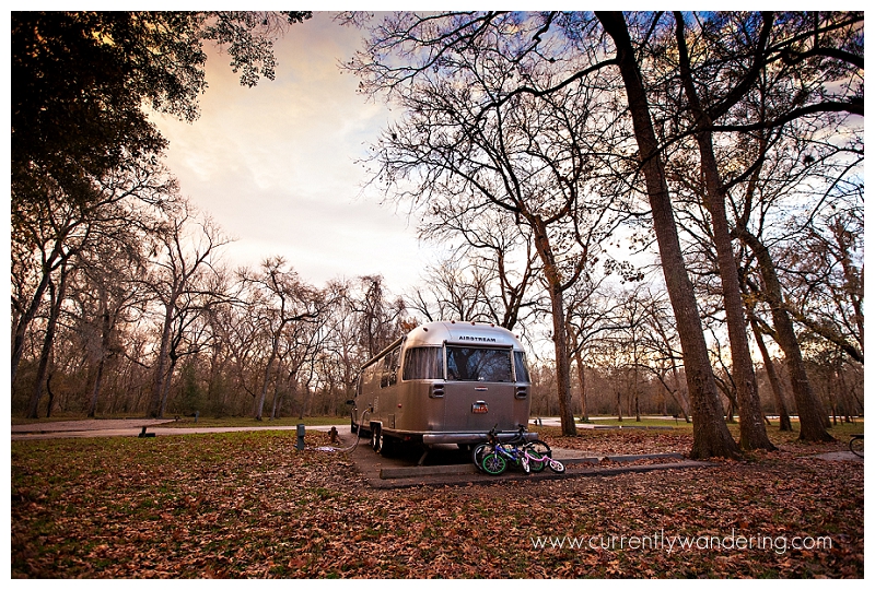 IMG_3726-2-Edit copy