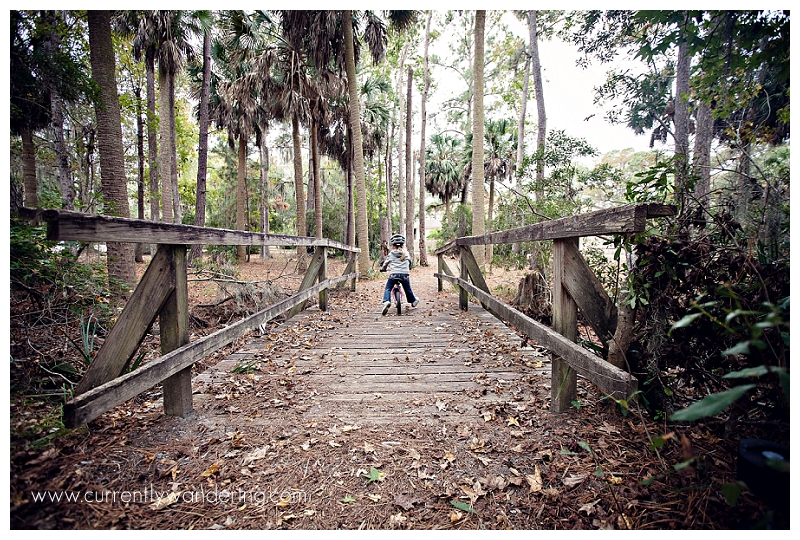 Skidaway Island State Park-4