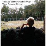 The Best Camera is the One You Have With You: 7 Tips for Taking Better Photos with Your Camera Phone