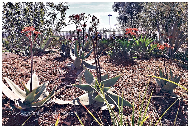 IMG_20140204_130604_1