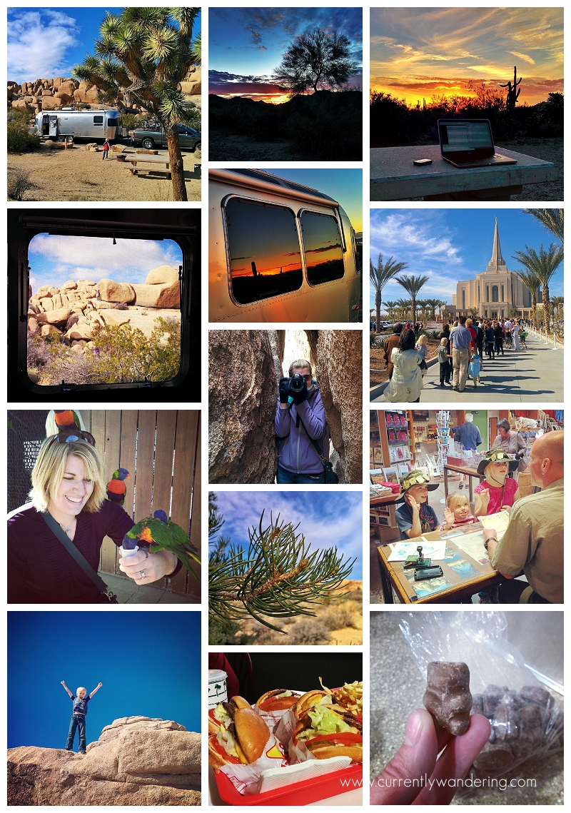 This Week on Instagram Feb 1-7, 2014