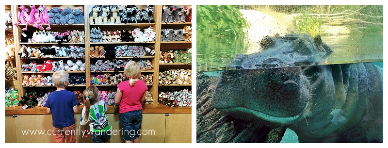 IMG_20140303_153528_1