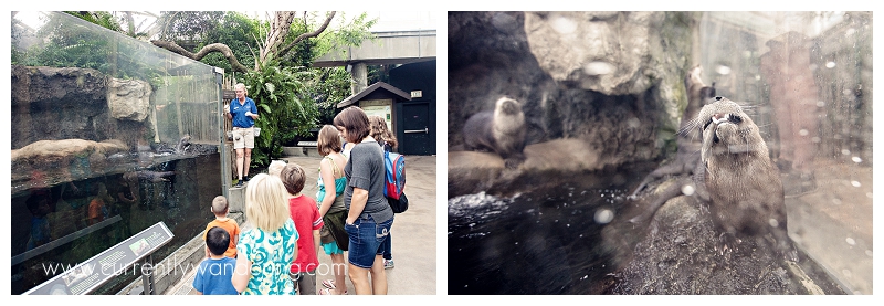 Tampa Aquarium Florida_004