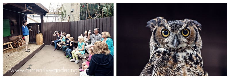 Tampa Aquarium Florida_006