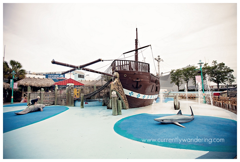 Tampa Aquarium Florida_013