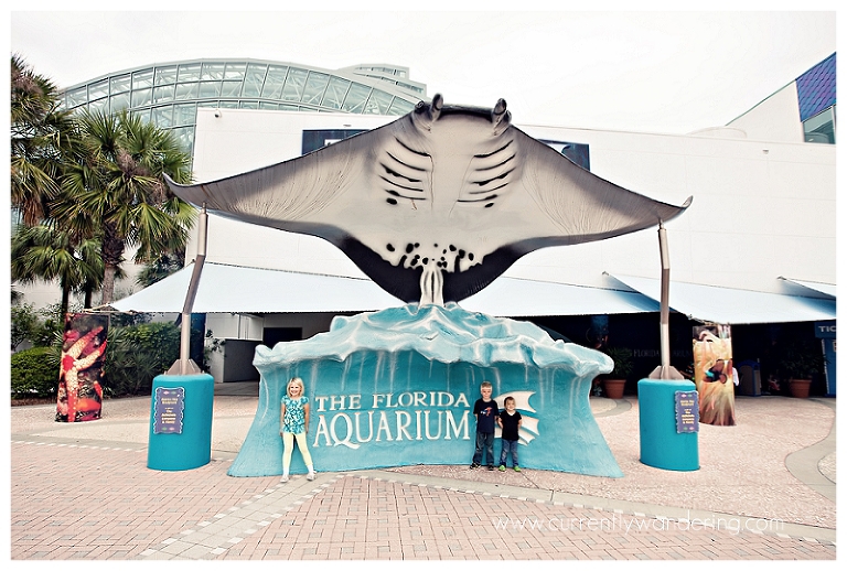 Tampa Aquarium Florida_014