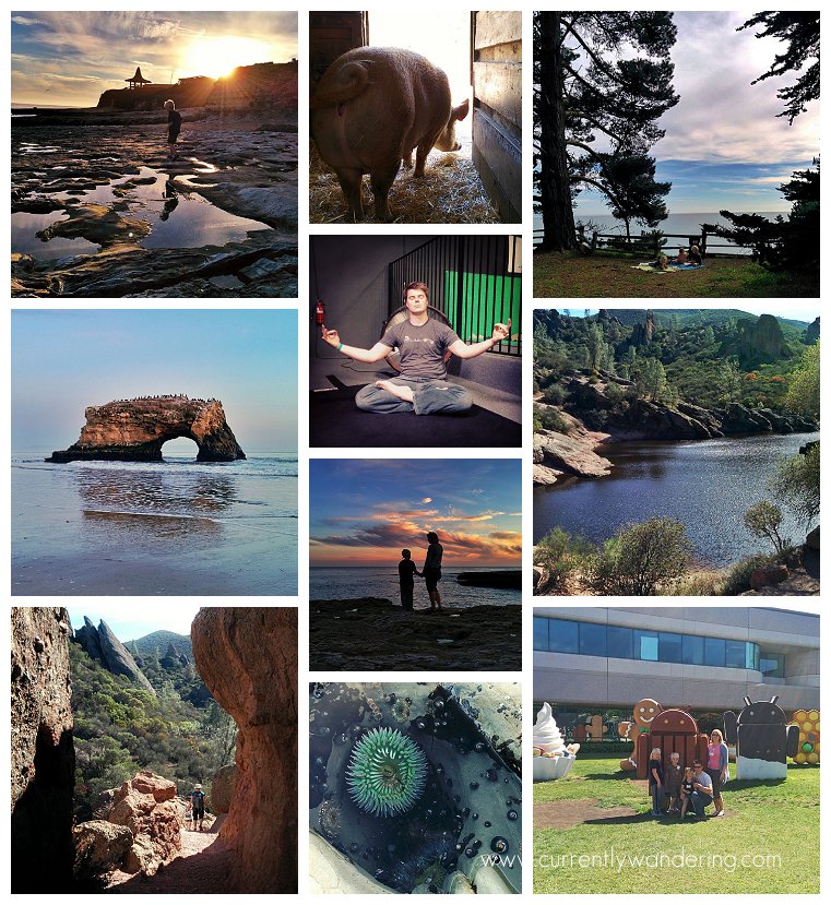 This Week on Instagram March 15-21 2014