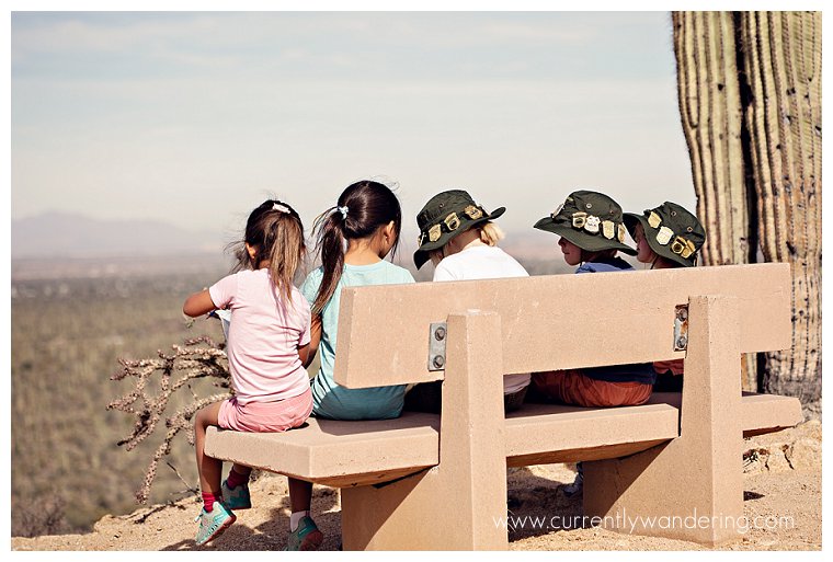 Saguaro National Park_013