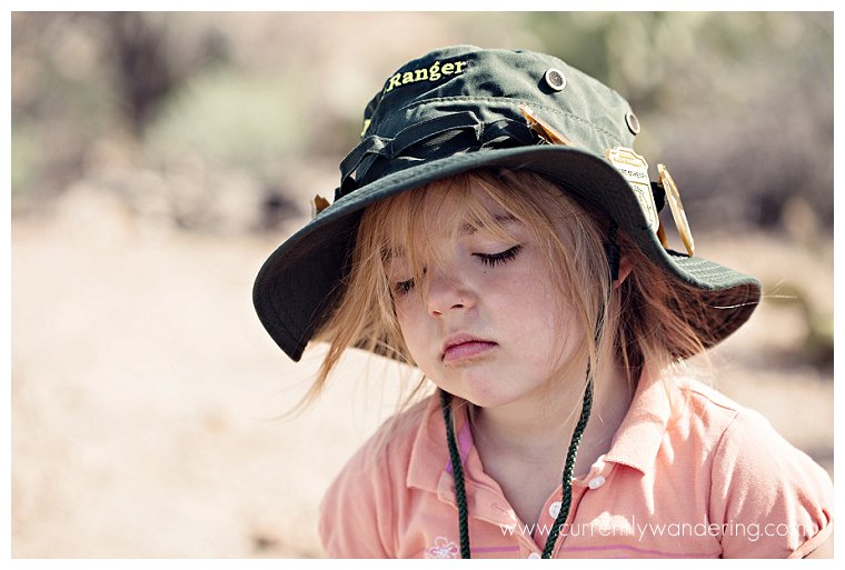 Saguaro National Park_015