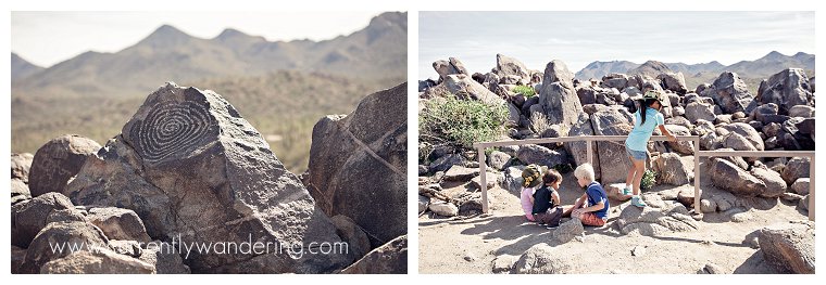 Saguaro National Park_016