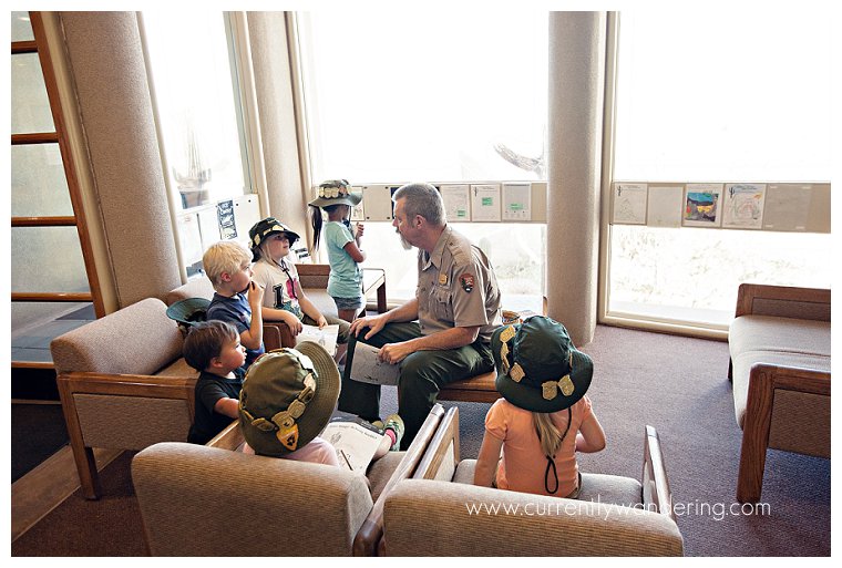 Saguaro National Park_018