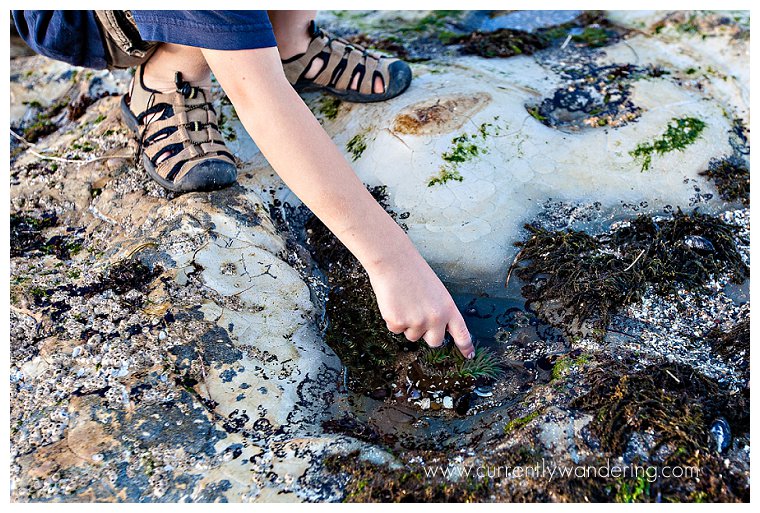 Natural Bridges SP_005