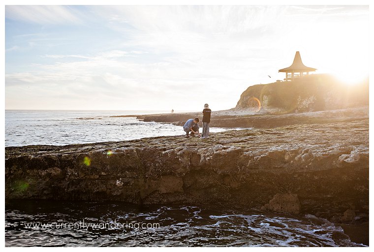 Natural Bridges SP_006