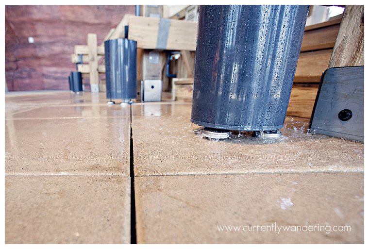 TP Museum of Natural Curiosity_024