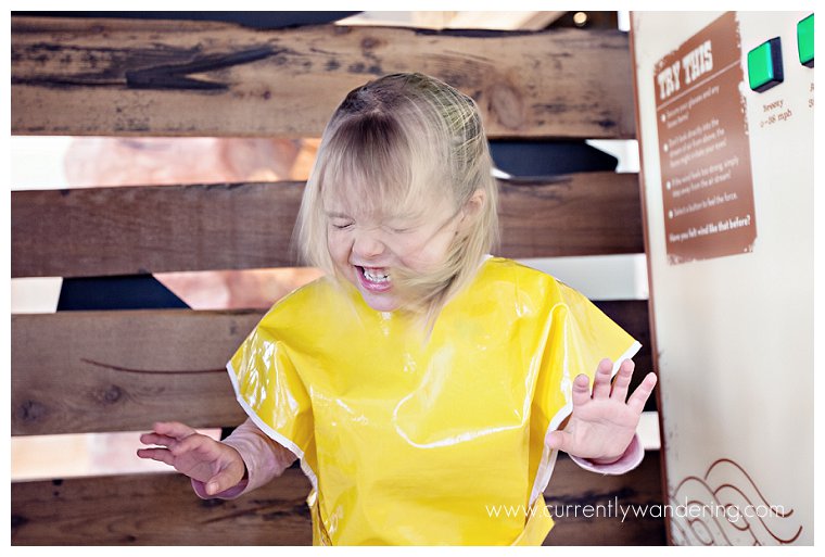 TP Museum of Natural Curiosity_025