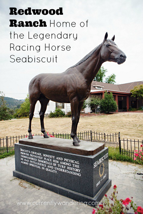 Redwood Ranch is home of the legendary racing horse Seabiscuit. We had a great experience touring the property and learning more about this magnificent horse!