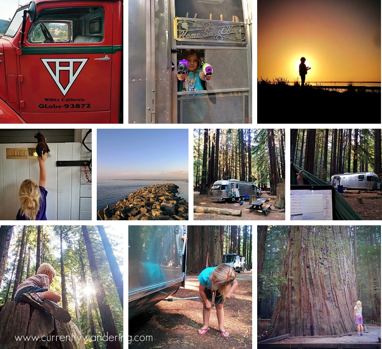 This Week on Instagram Aug 2-8 2014