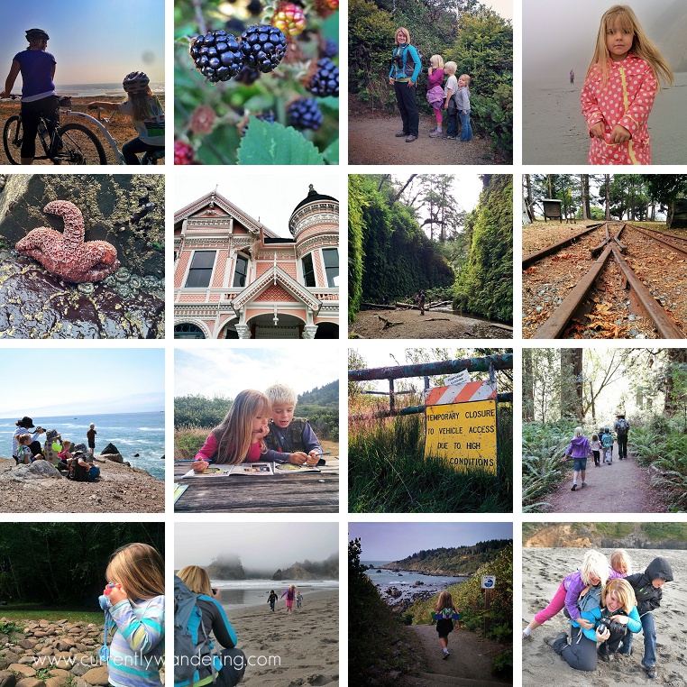 This Week on Instagram August 9-15, 2014