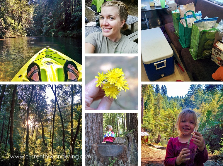 This Week on Instagram July 26- Aug 1