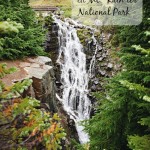 A Soggy Day at Mount Rainier National Park - Washington