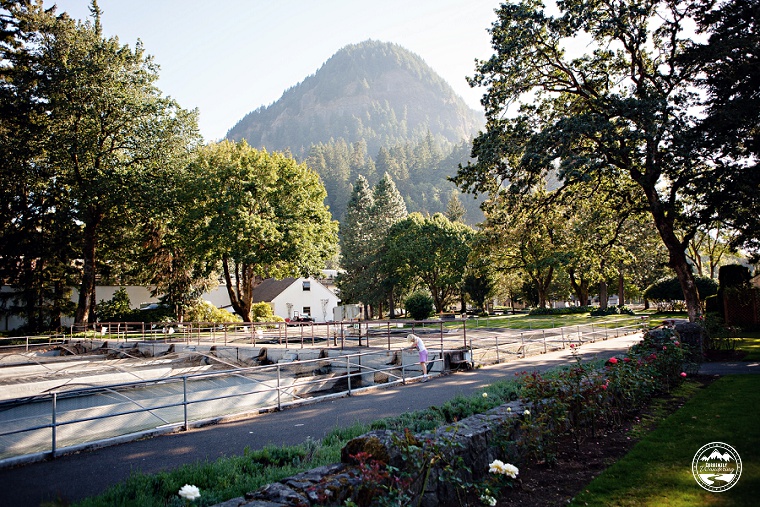 Colombia River Gorge_16