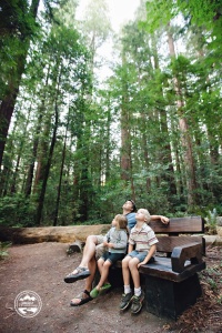 Redwood Forests_09