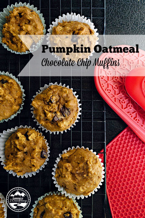 Pumpkin Oatmeal CC Muffins