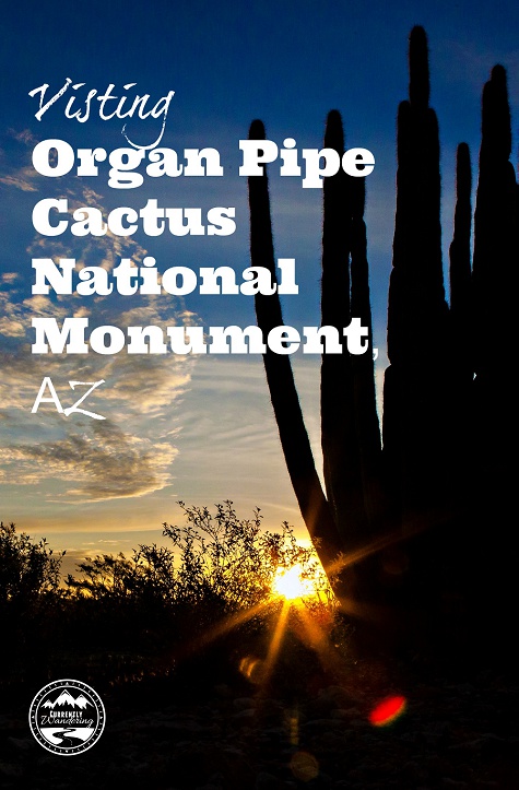 This National Monument is the only place in the United States where you can find Organ Pipe Cactus! Go and see our adventure to know why you should add this place to your bucketlist! 