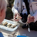 The Sonoran Desert Museum in Tucson, Arizona