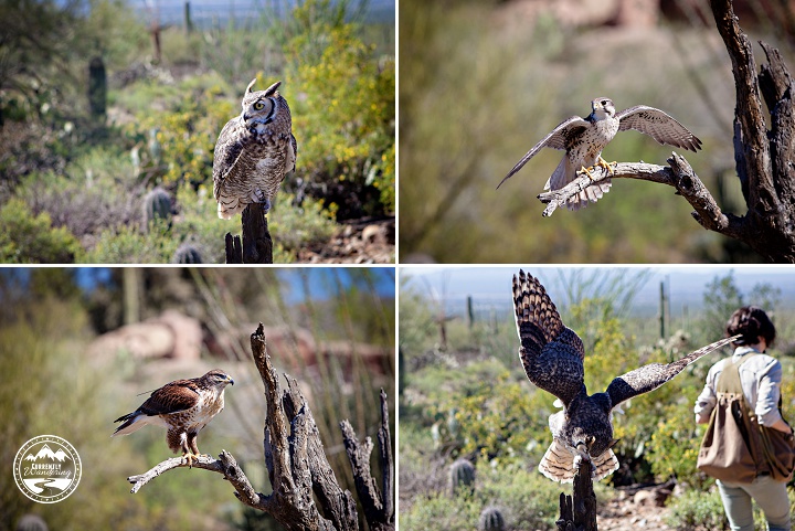 Sonoran Desert Museum_04