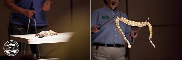 Sonoran Desert Museum_12