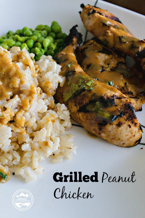 Grilled Peanut Chicken - this recipe is SO ridiculously delicious!