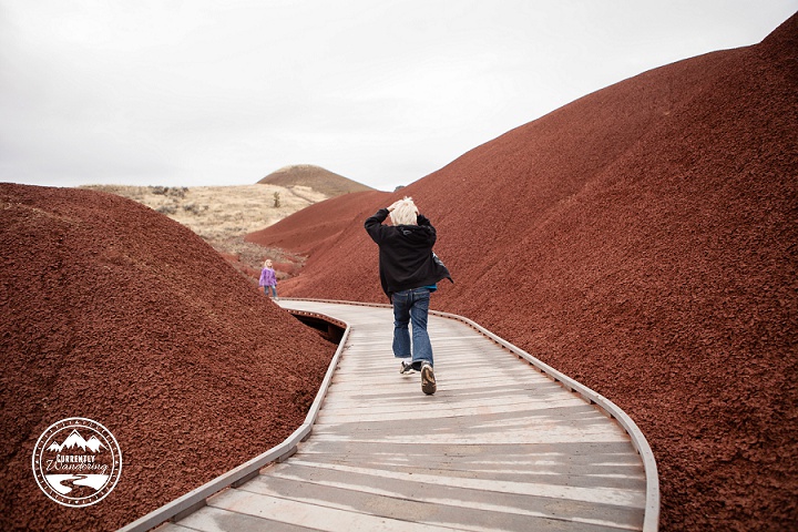 John Day Fossil Beds_06