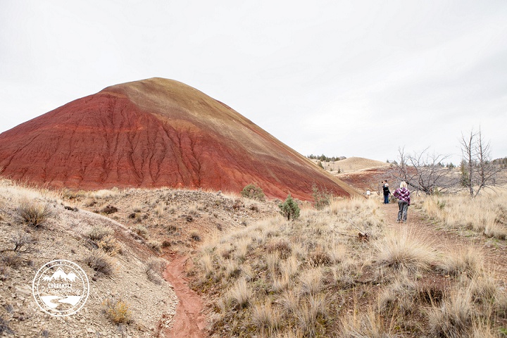 John Day Fossil Beds_11