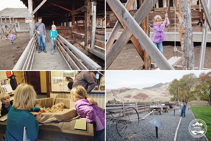 John Day Fossil Beds_44