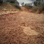 Signs and Footprints