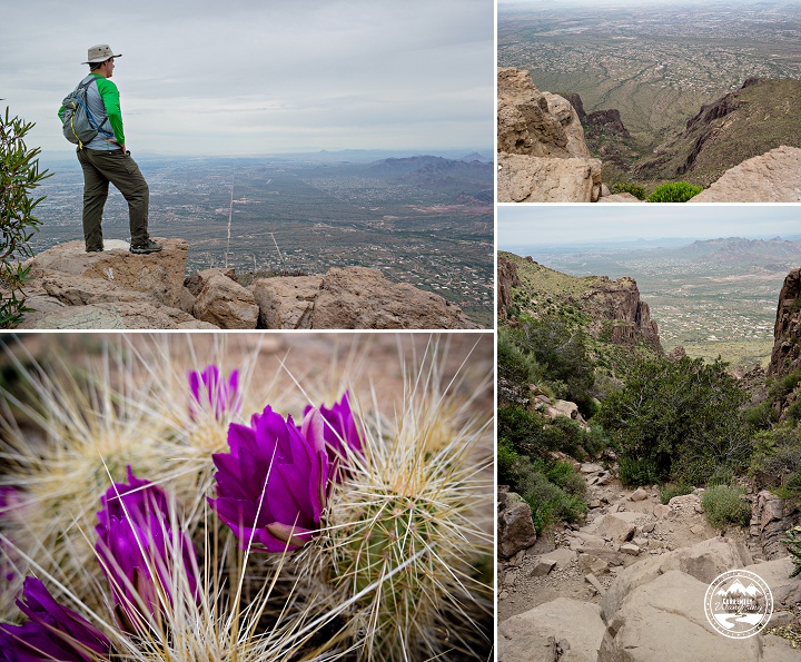 Lost Dutchman Flat Iron_08