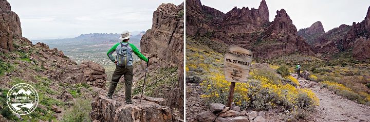 Lost Dutchman Flat Iron_12