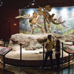 Cara's Dinosaur Birthday Party IN Dinosaur National Monument