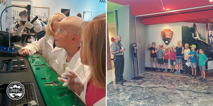 11419276_514975165322931_299865536_n