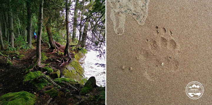 11939689_1479477475682168_538065767_n