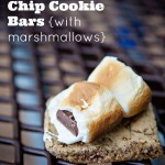 Airstream Kitchen: Whole Grain Chocolate Chip Cookie Bars