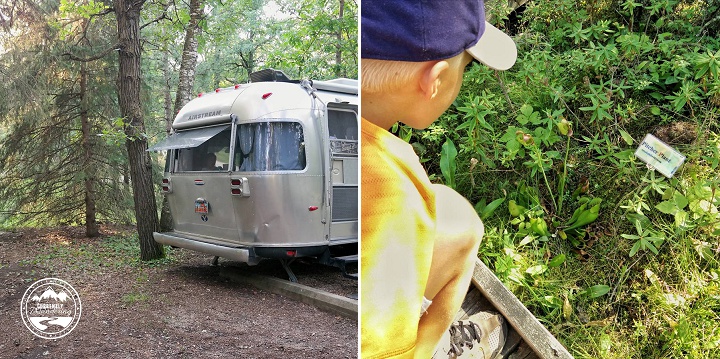 11374256_803311896448604_1225475932_n