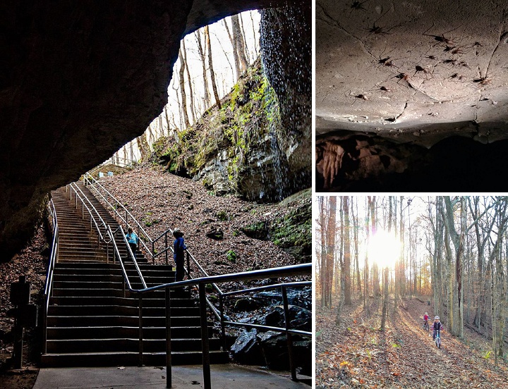 11875492_142332026124870_668597828_n