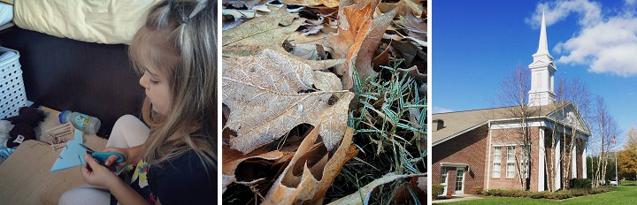 11931253_1018784061476252_1489492224_n