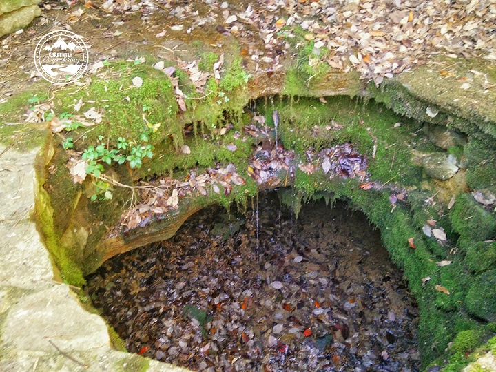 IMG_20151111_102300-01