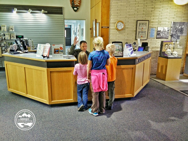 IMG_20151111_104641-01